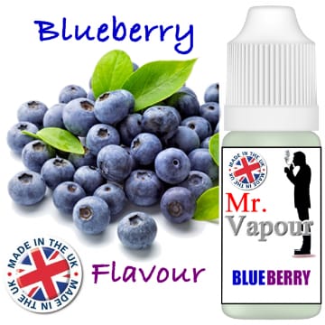Mr Vapour Blueberry 10ml E-Juice (50VG/50PG)